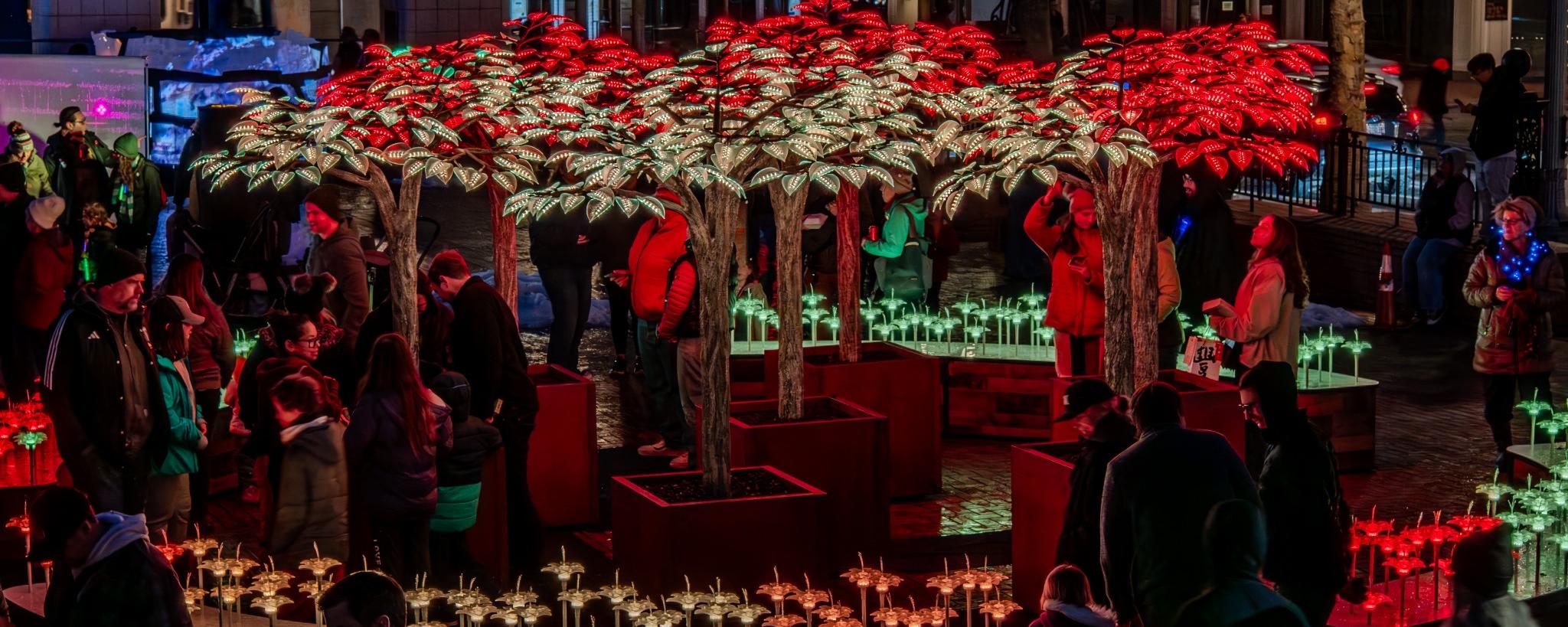 BioLumina Tree of Light