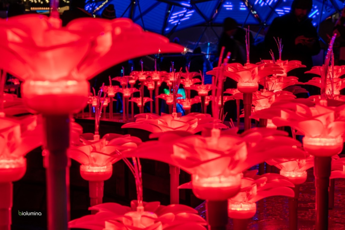 BioLumina Flower Field – Interactive LED Light Garden
