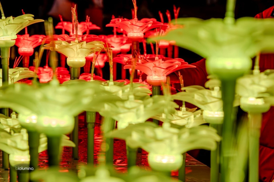 BioLumina Flower Field – Interactive LED Light Garden