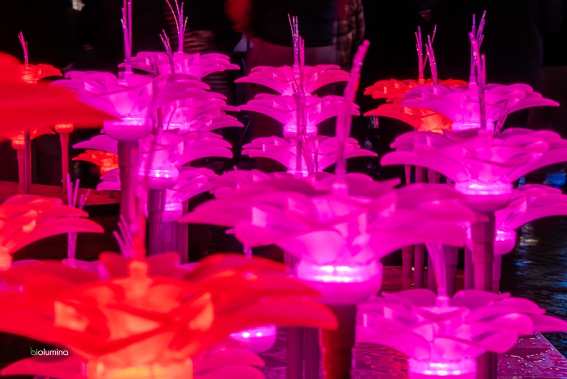 BioLumina Flower Field – Interactive LED Light Garden