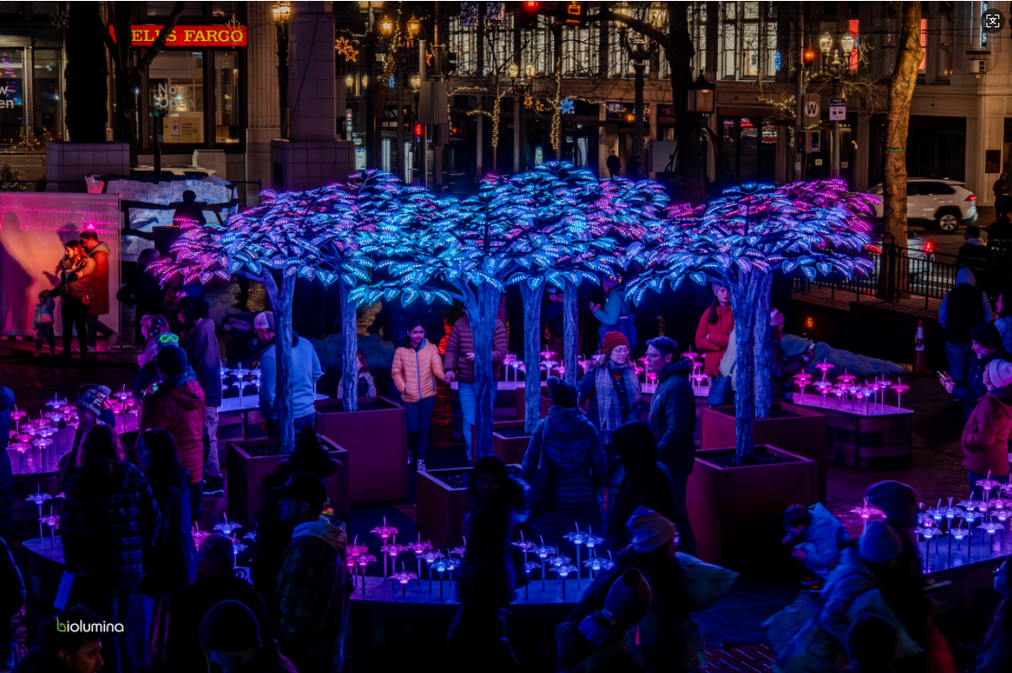 wechat_2025-11-12_172559_648.png wechat_2025-11-12_172559_648.png