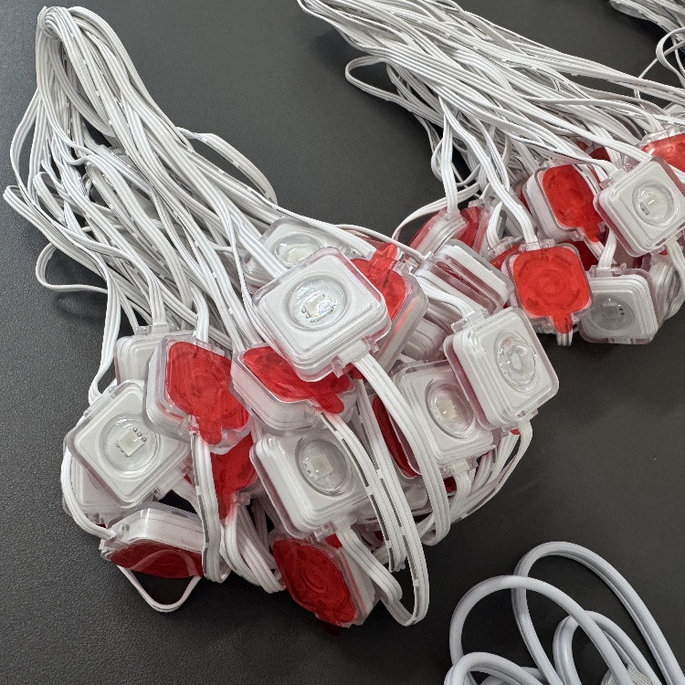 50FT/100FT/150FT/200FT LED Permanent light set