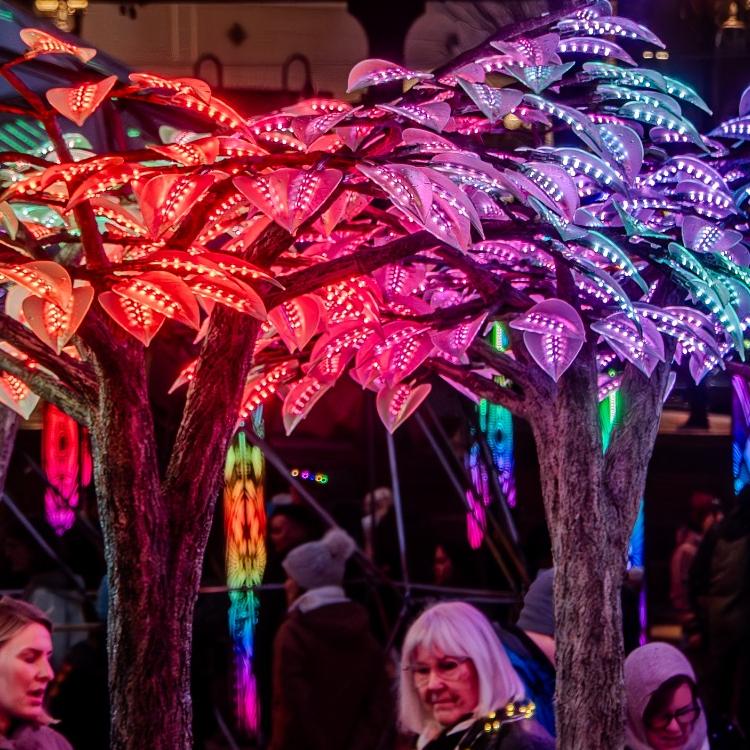 BioLumina Tree of Light