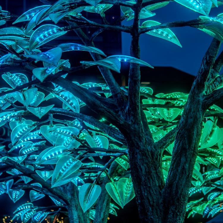 BioLumina Tree of Light