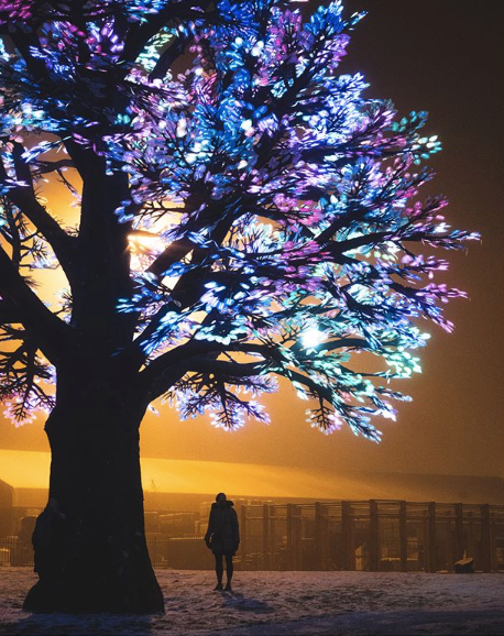 LED Tree Sculpture | Interactive Outdoor Light Art | BioLumina