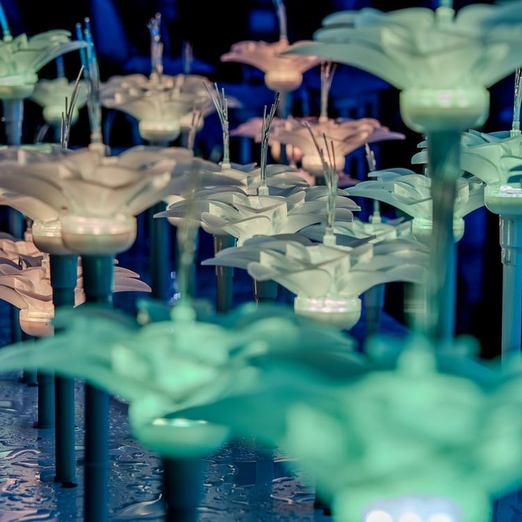 BioLumina Flower Field – Interactive LED Light Garden