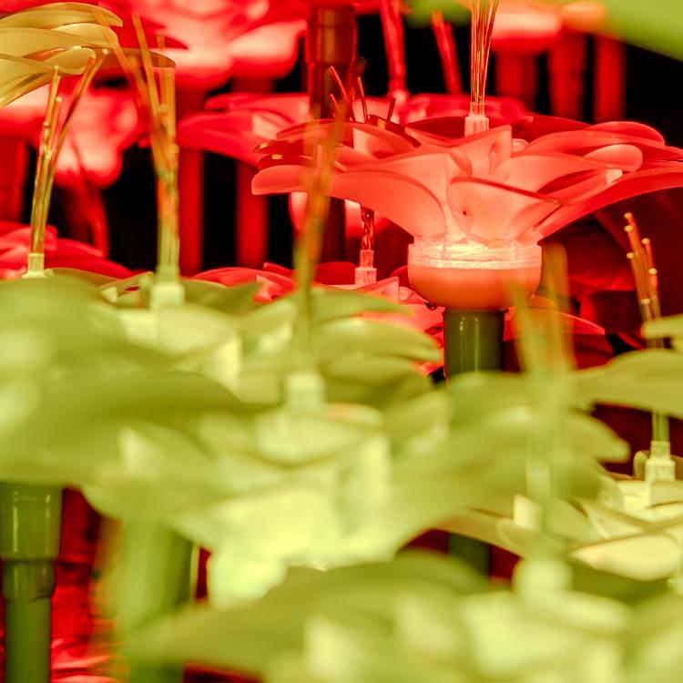 BioLumina Flower Field – Interactive LED Light Garden