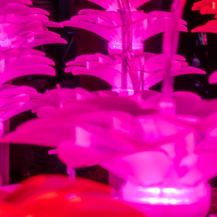 BioLumina Flower Field – Interactive LED Light Garden