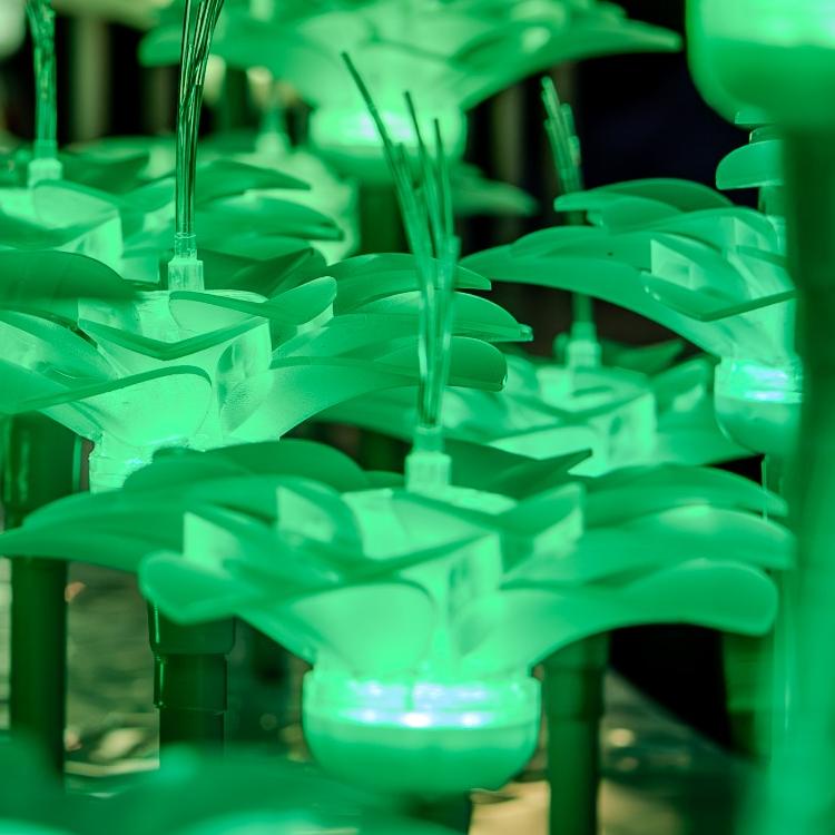 BioLumina Flower Field – Interactive LED Light Garden